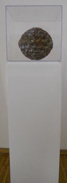 MW 16 (Normale Auflösung)